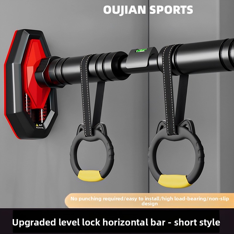 Barre de traction murale pour  - Sports Equipment Companies avis et prix